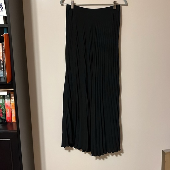 Express Pleated Maxi Skirt - Picture 2 of 3